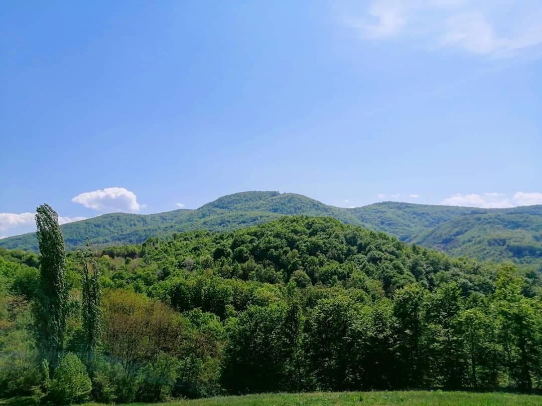 Apartman Lavanda Banja Koviljača Εξωτερικό φωτογραφία
